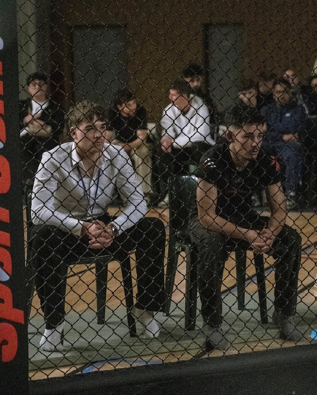 Compétition dans la cage