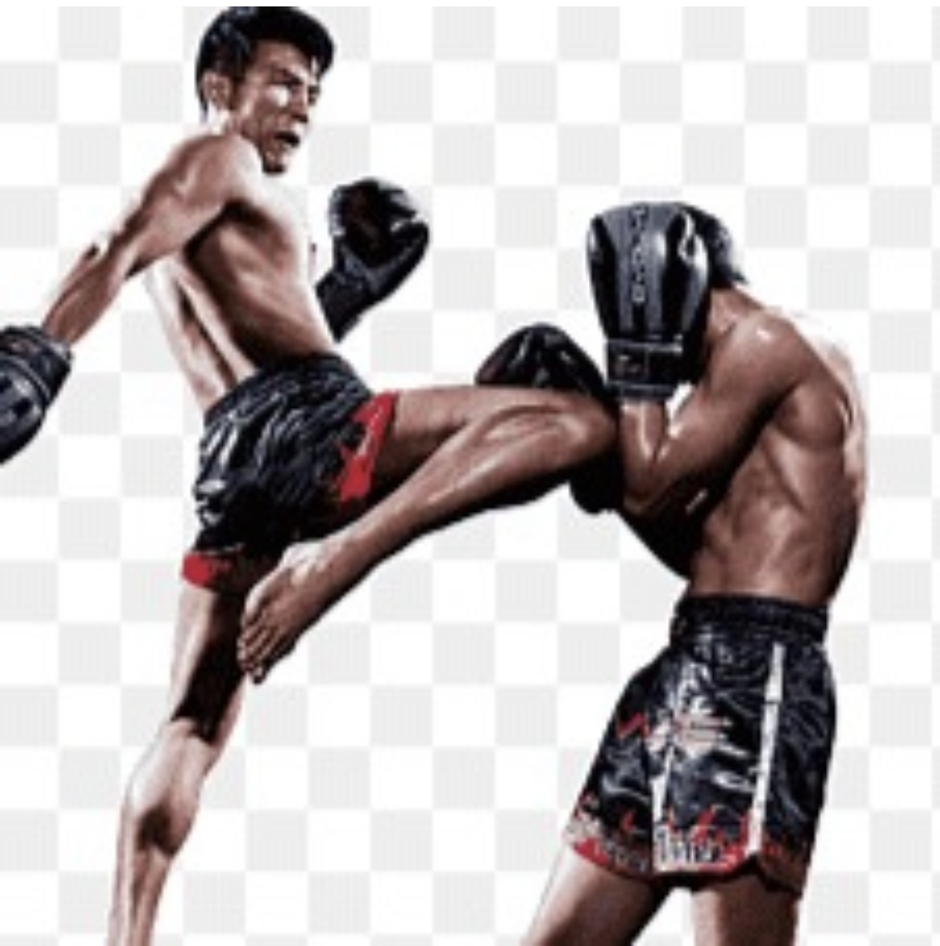 MMA au Dojo Noyalais