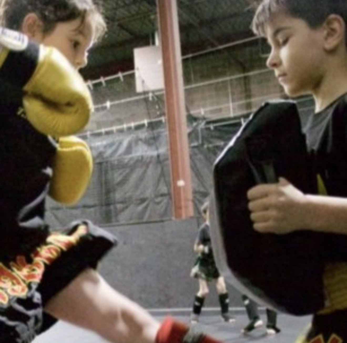 Boxe au Dojo Noyalais